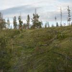 OTRA2013_1394 (July 15, 2013)